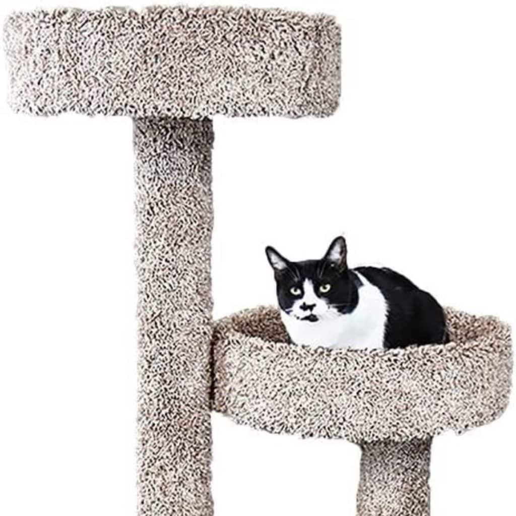 13 Best Cat Trees For Maine Coons In 2022 Cat Tested