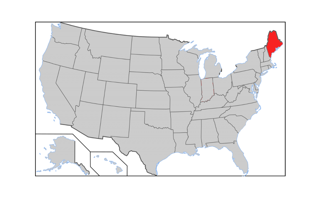 Maine Coon Cat For Sale In Oregon