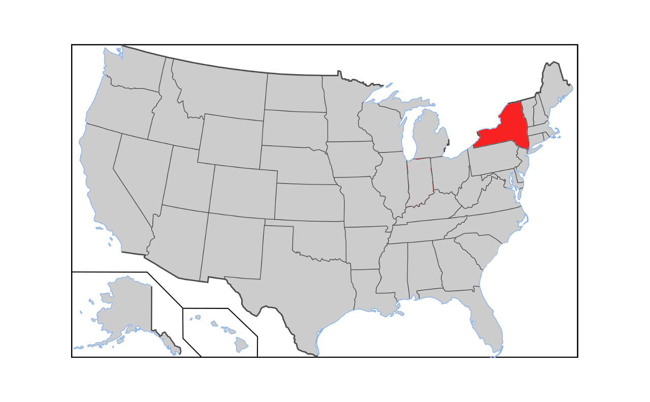 Maine Coon Kittens for Sale New York