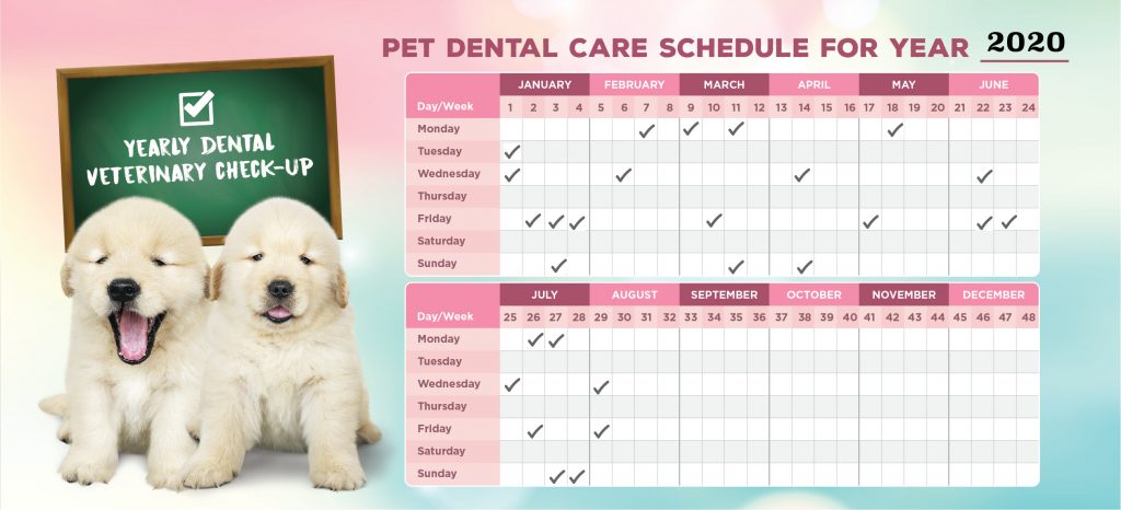 A pet dental calendar.