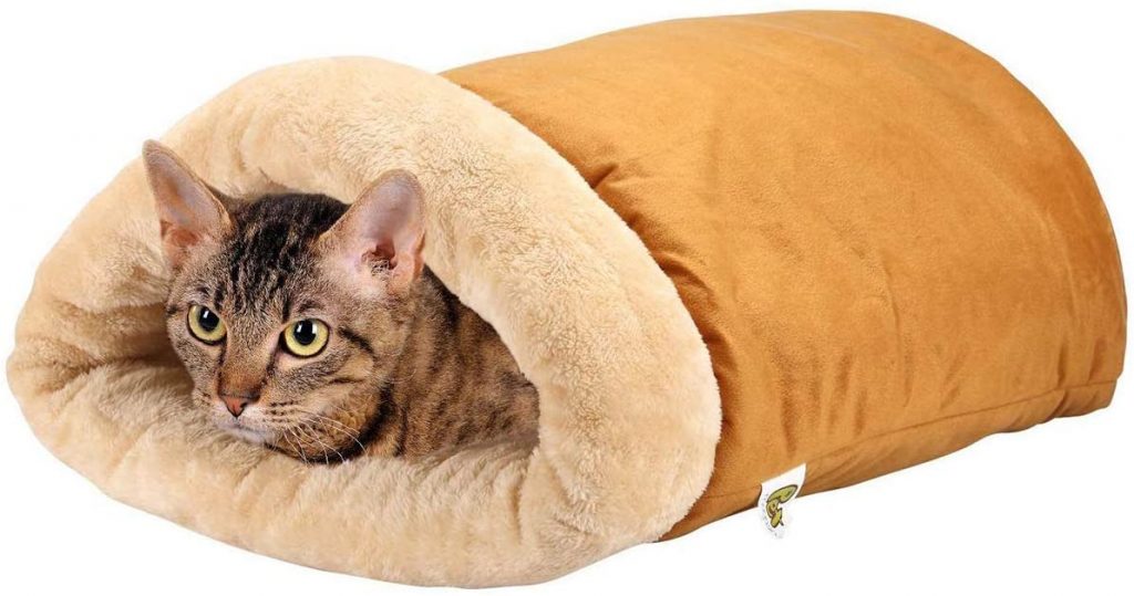 Maine Coon Cat Beds