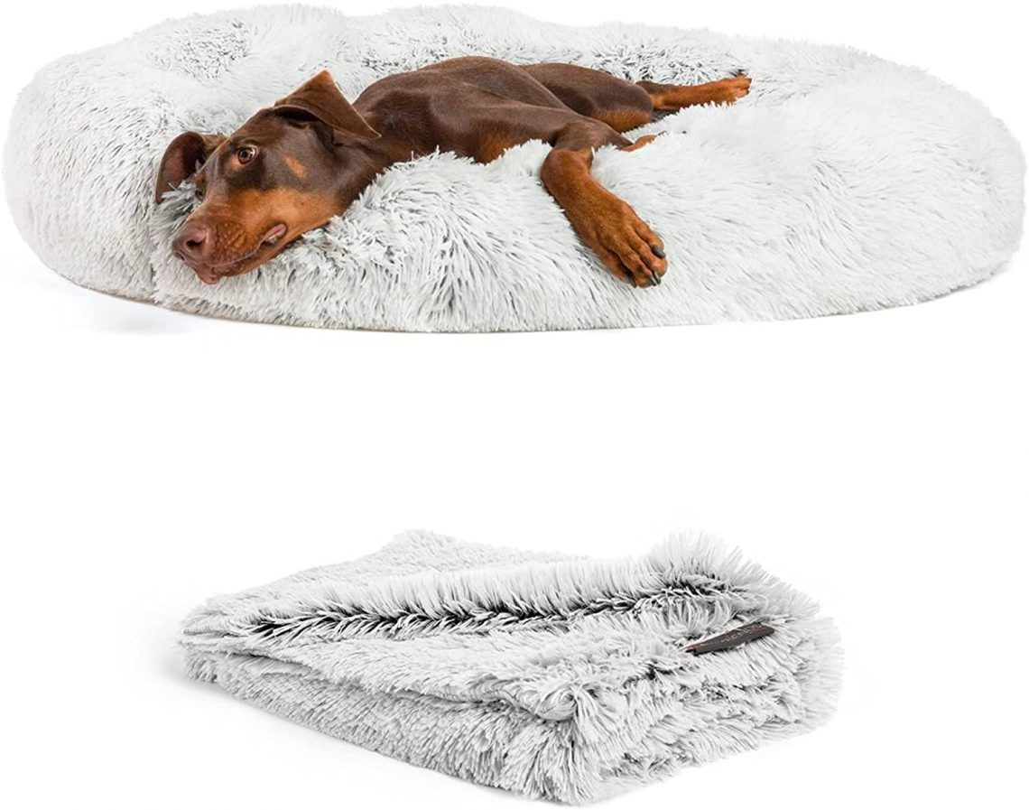 Best Maine Coon Cat Beds