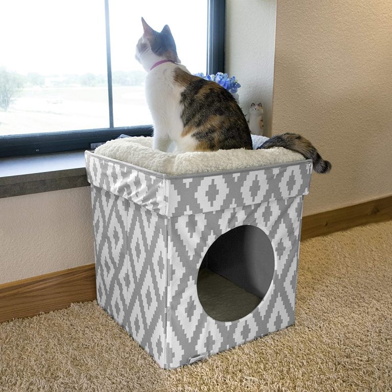 Best Maine Coon Cat Beds - MaineCoon.org