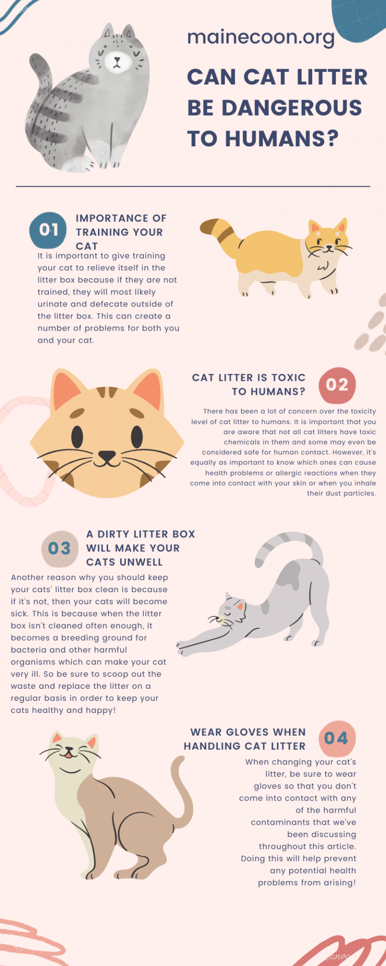 Can Cat Litter Be Dangerous To Humans?