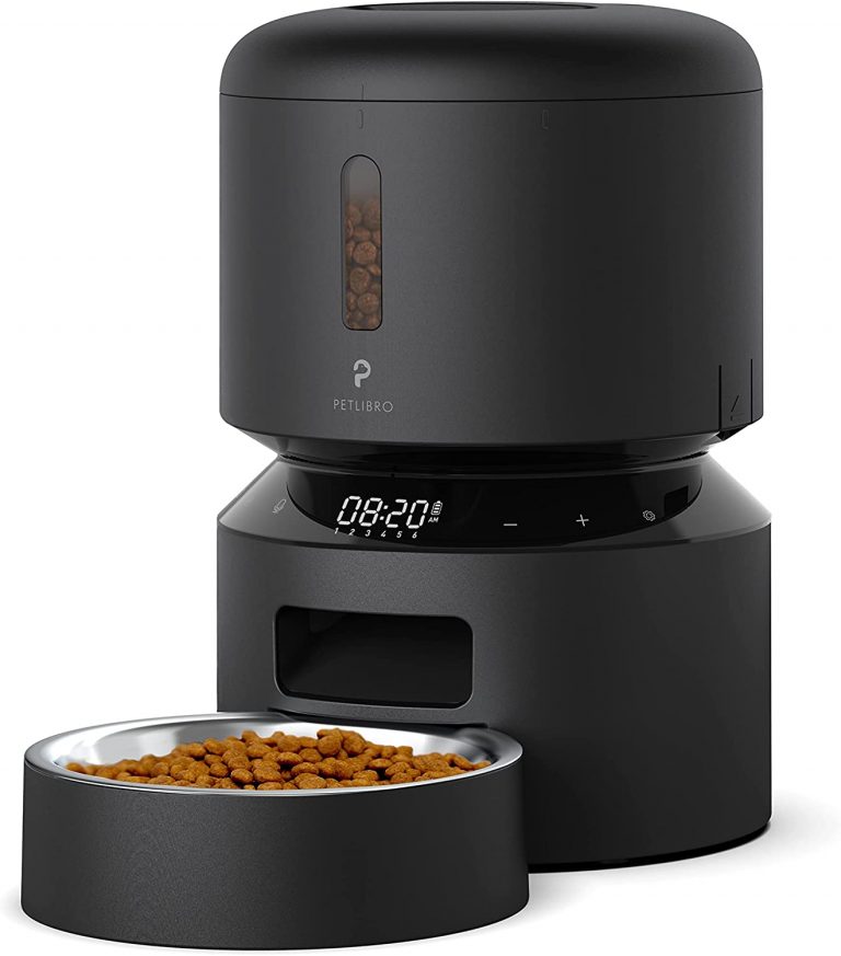 best automatic cat feeder 2018 best automatic cat feeder 2018