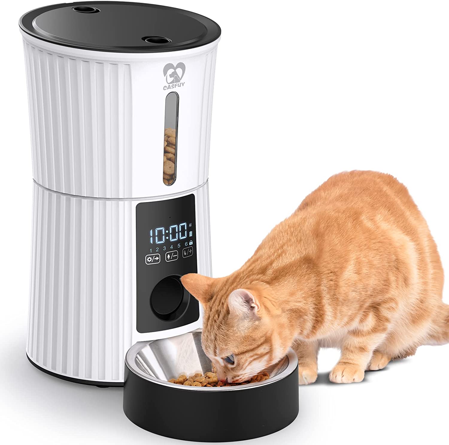 The+best+automatic+cat+feeders+for+2024