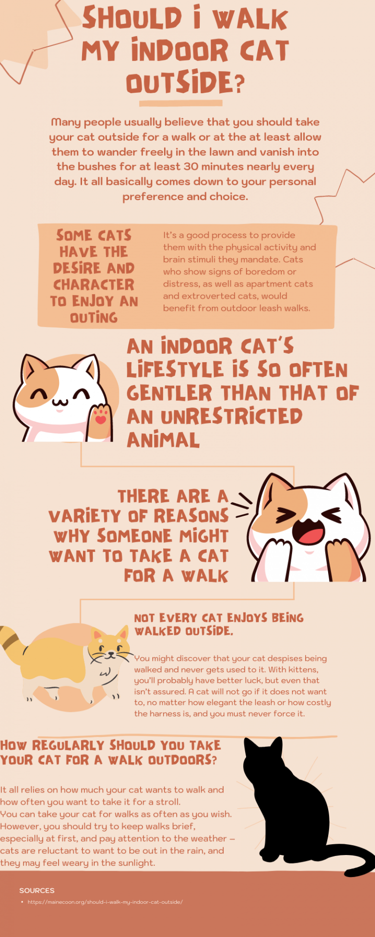 Should I Walk My Indoor Cat Outside?