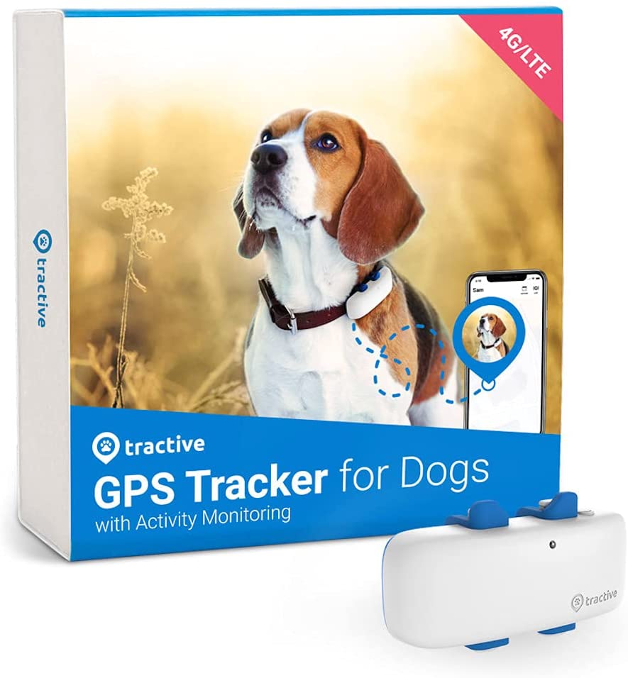 GPS Tracker for Cats
