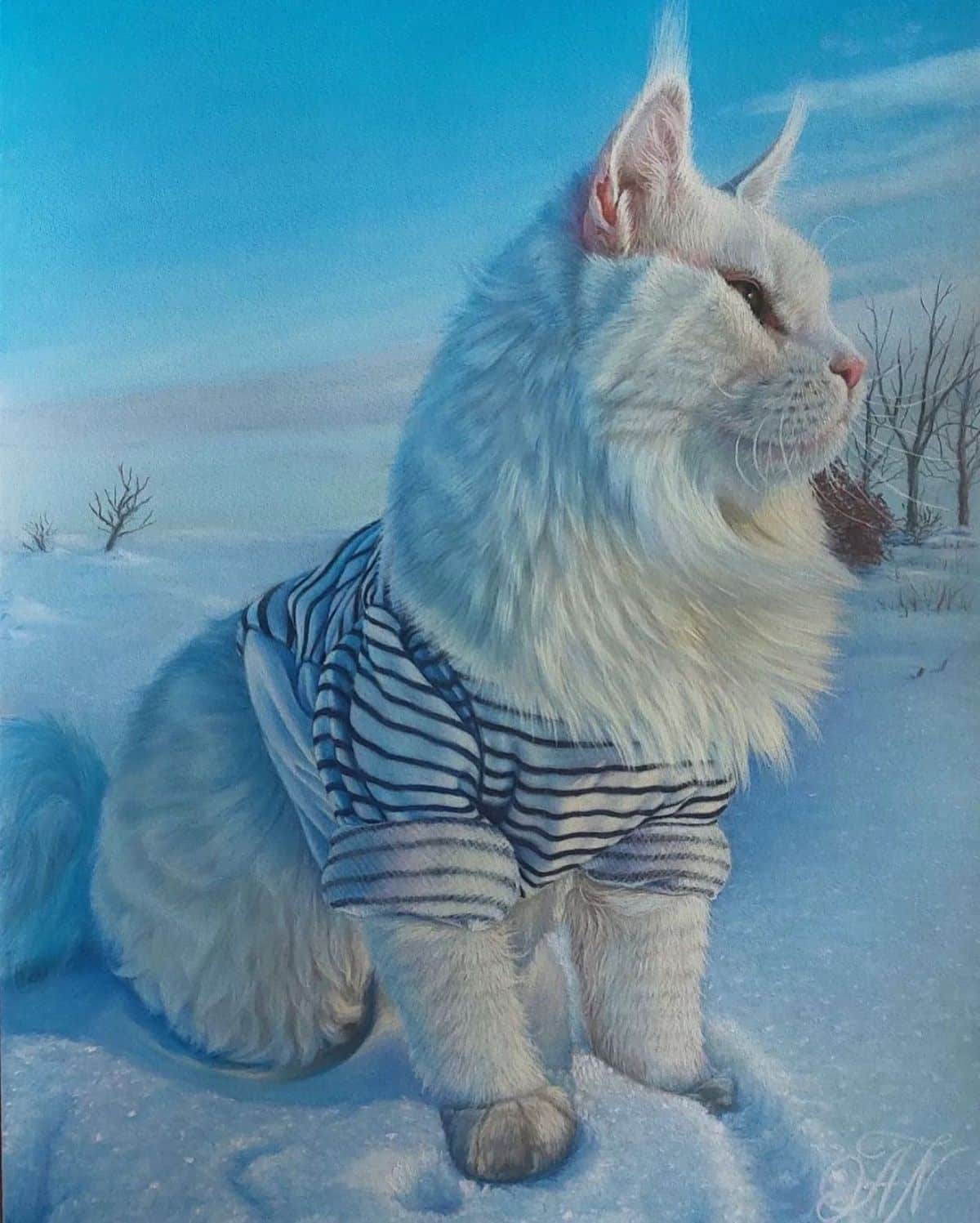 A white maine coon with a shirt sitting in snow.