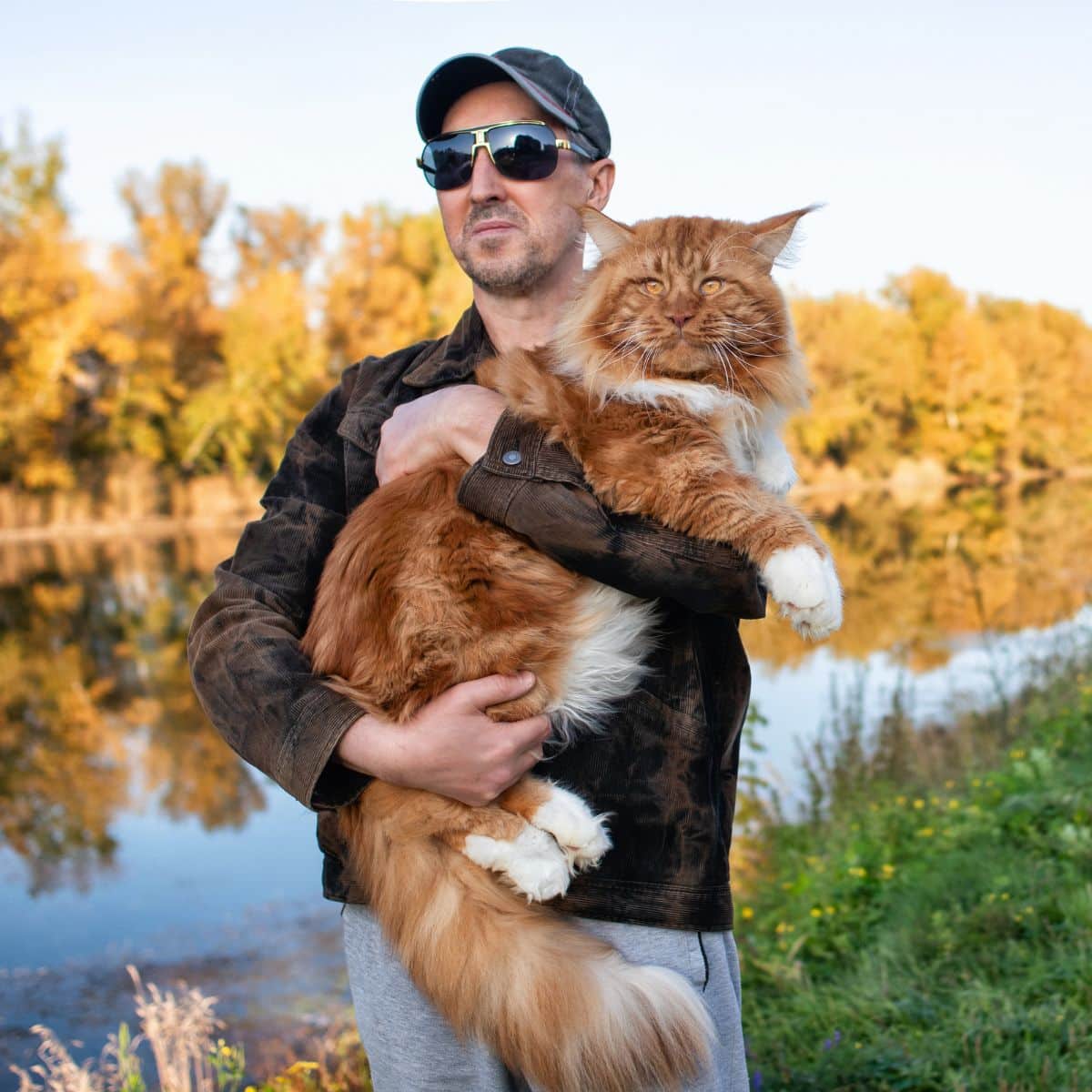 do-maine-coons-like-water-and-swimming-the-catty-paddle-maine-coon