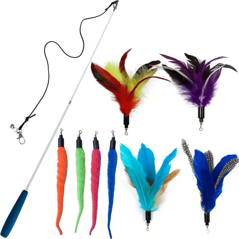 7 Maine Coon Cat Toys Your Cat Will Love (2022)