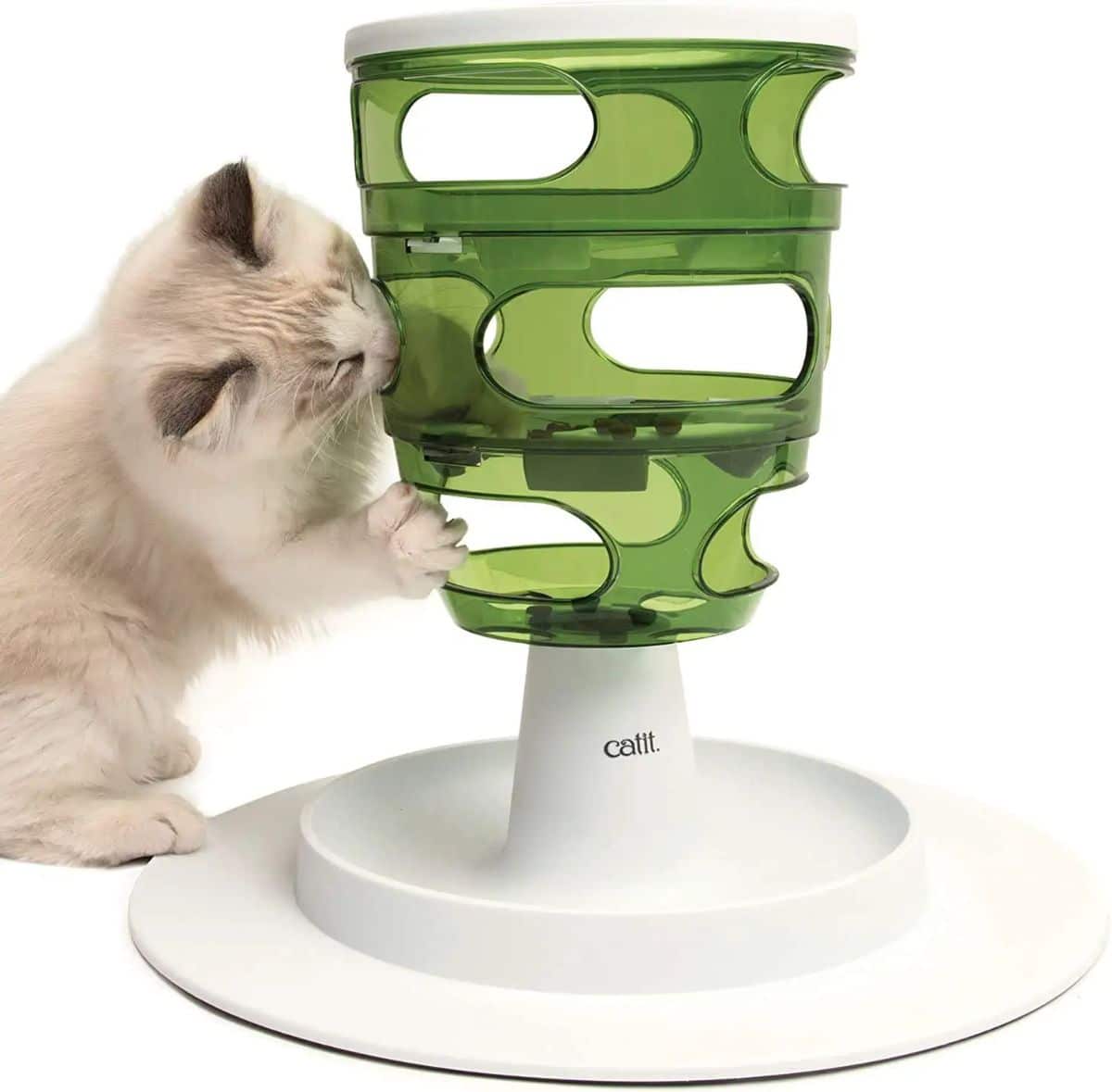 A cat nibbling on a plastic toy.