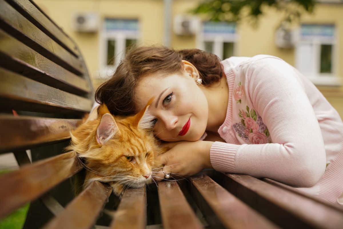 Young woman hugging a ginger mainecoon on a wooden outdoor bench.