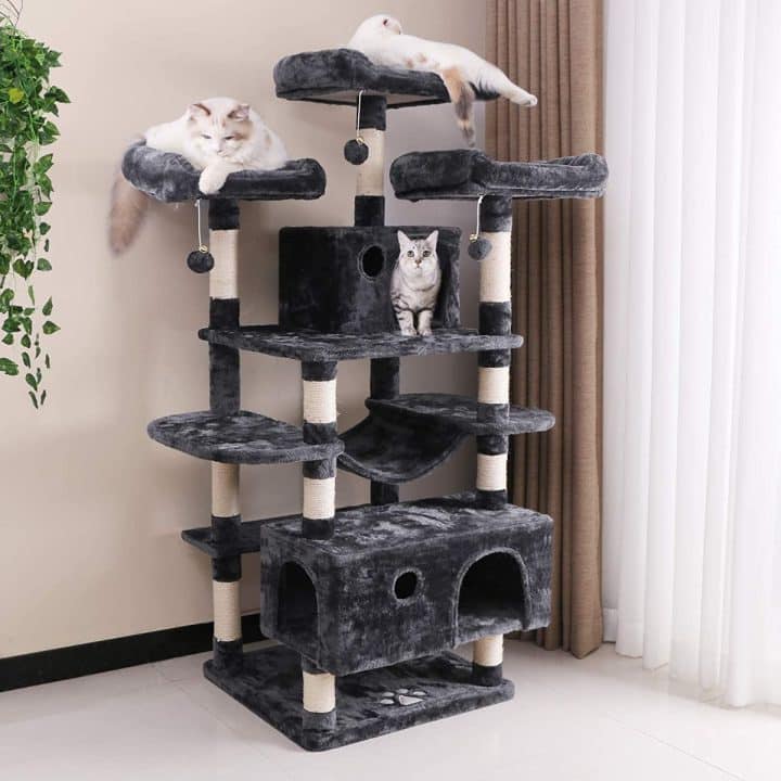 13 Best Cat Trees For Maine Coons in 2022 (Cat Tested!)