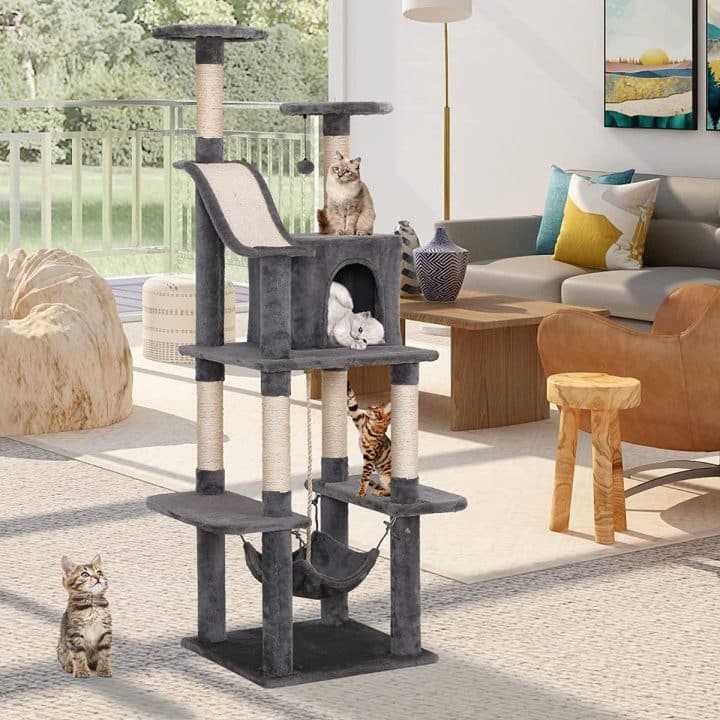 13 Best Cat Trees For Maine Coons in 2022 (Cat Tested!)