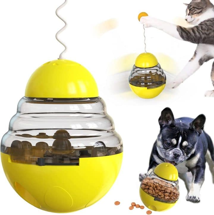 11 Treat Games to Stimulate Your Cat's Brain (fun picks)