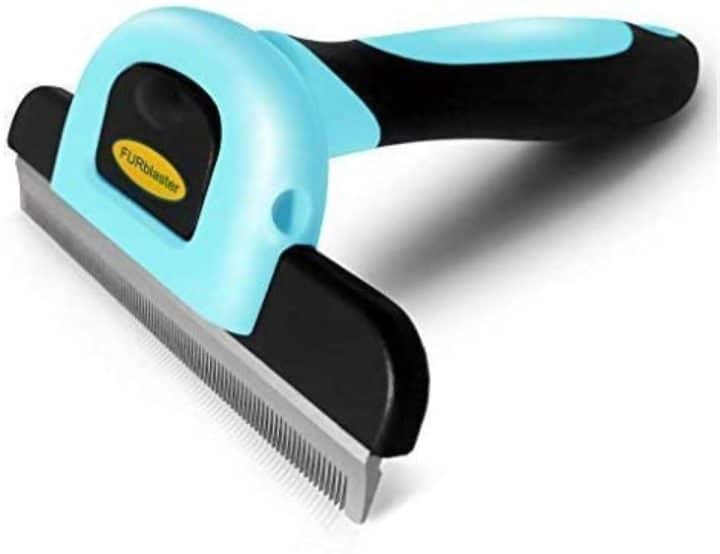 13 Best Brushes for Maine Coon Cats (Cat Tested)