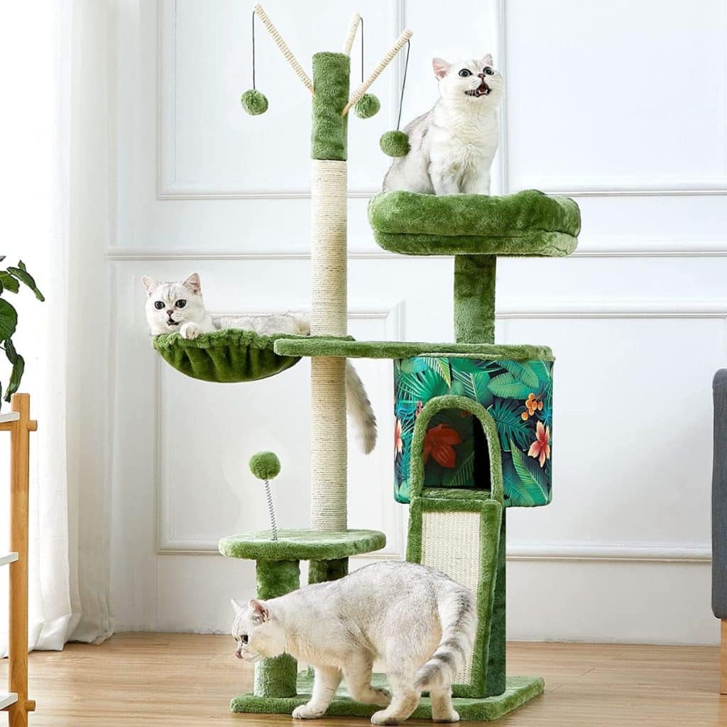 13 Best Cat Trees For Maine Coons in 2022 (Cat Tested!)