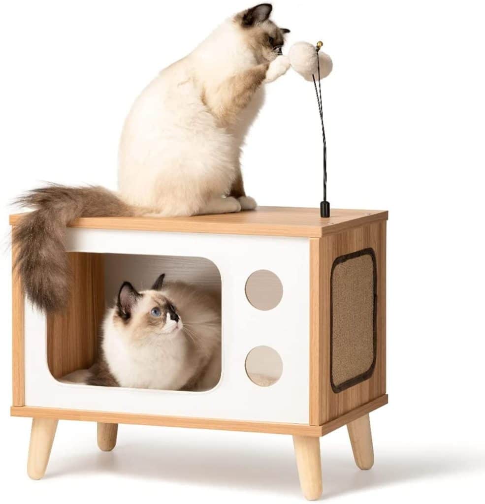 7 Unique Luxury Cat Furniture Pieces (Maine Coon Approved)