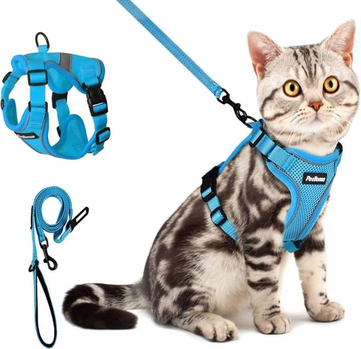 7 EscapeProof Maine Coon Harnesses