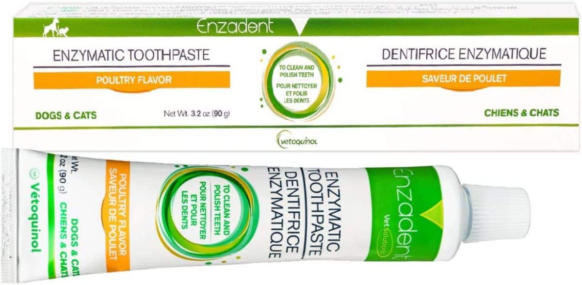 Vetoquinol Enzadent Enzymatic Toothpaste