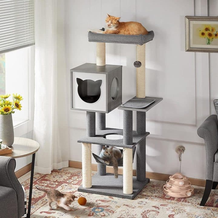 13 Best Cat Trees For Maine Coons in 2022 (Cat Tested!)