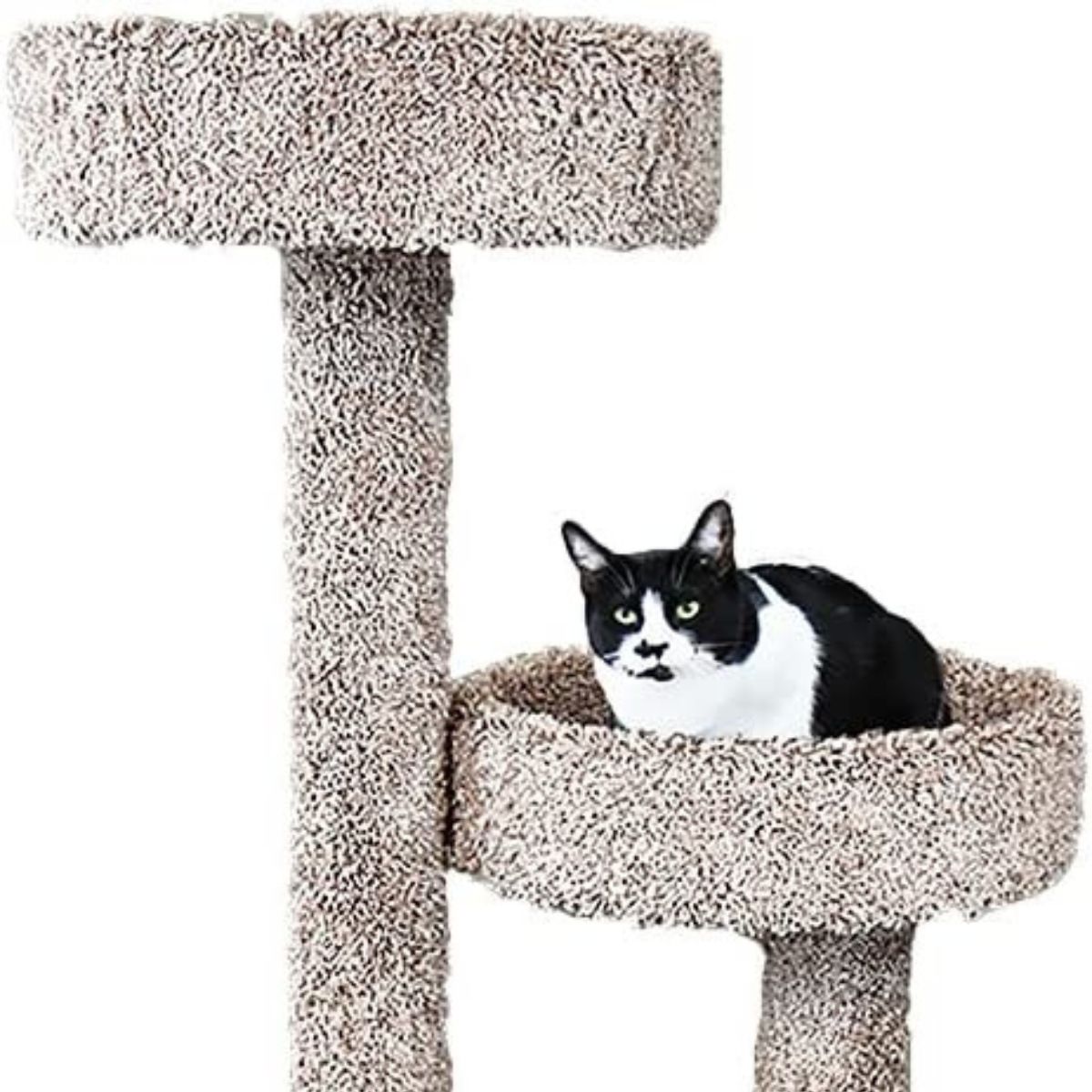 New Cat Condos Cat Tree