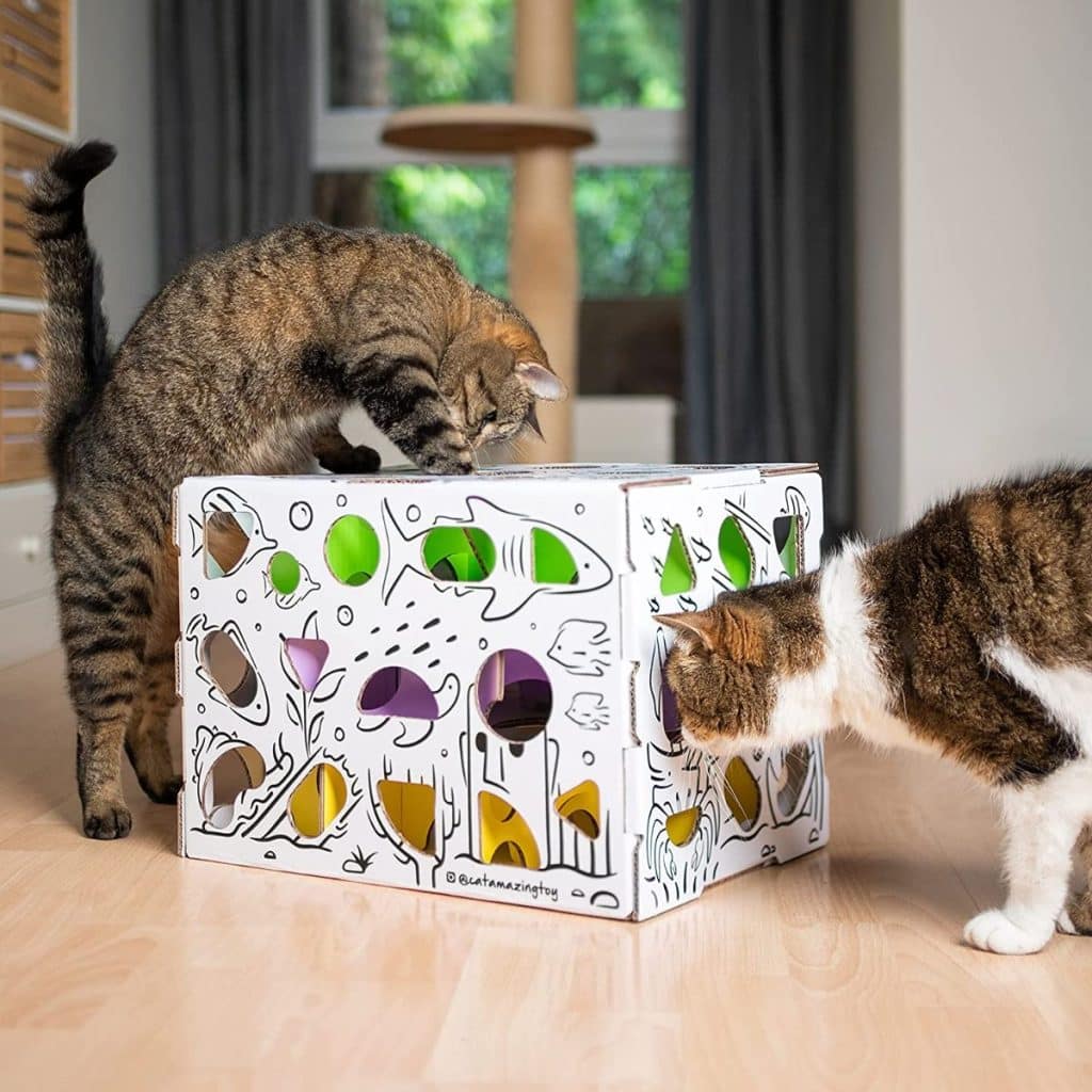 11 Treat Games to Stimulate Your Cat's Brain (fun picks)