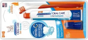 The 7 Best Natural Cat Toothpaste (Vet Approved) - MaineCoon.org