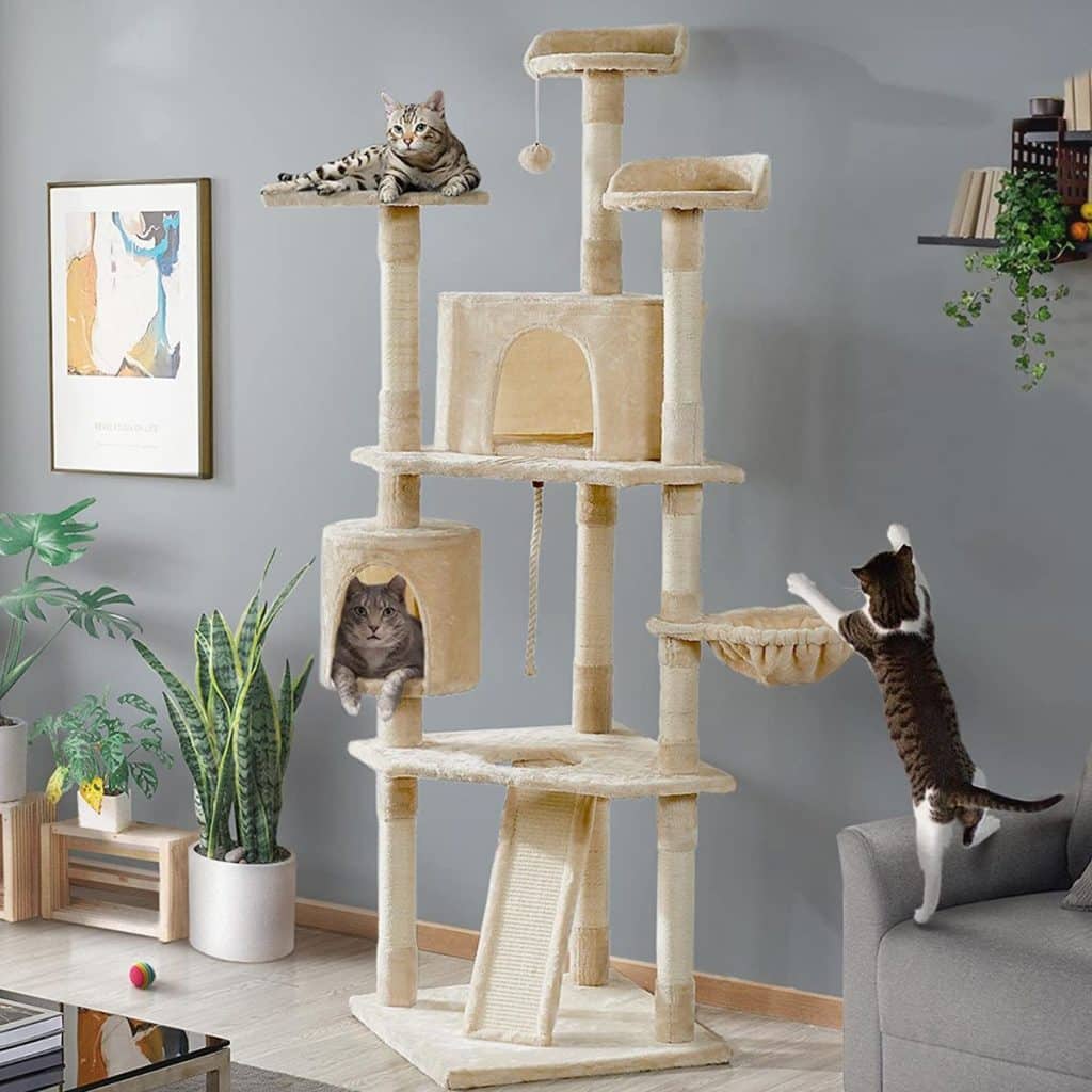 13 Best Cat Trees For Maine Coons In 2022 (cat Tested!)