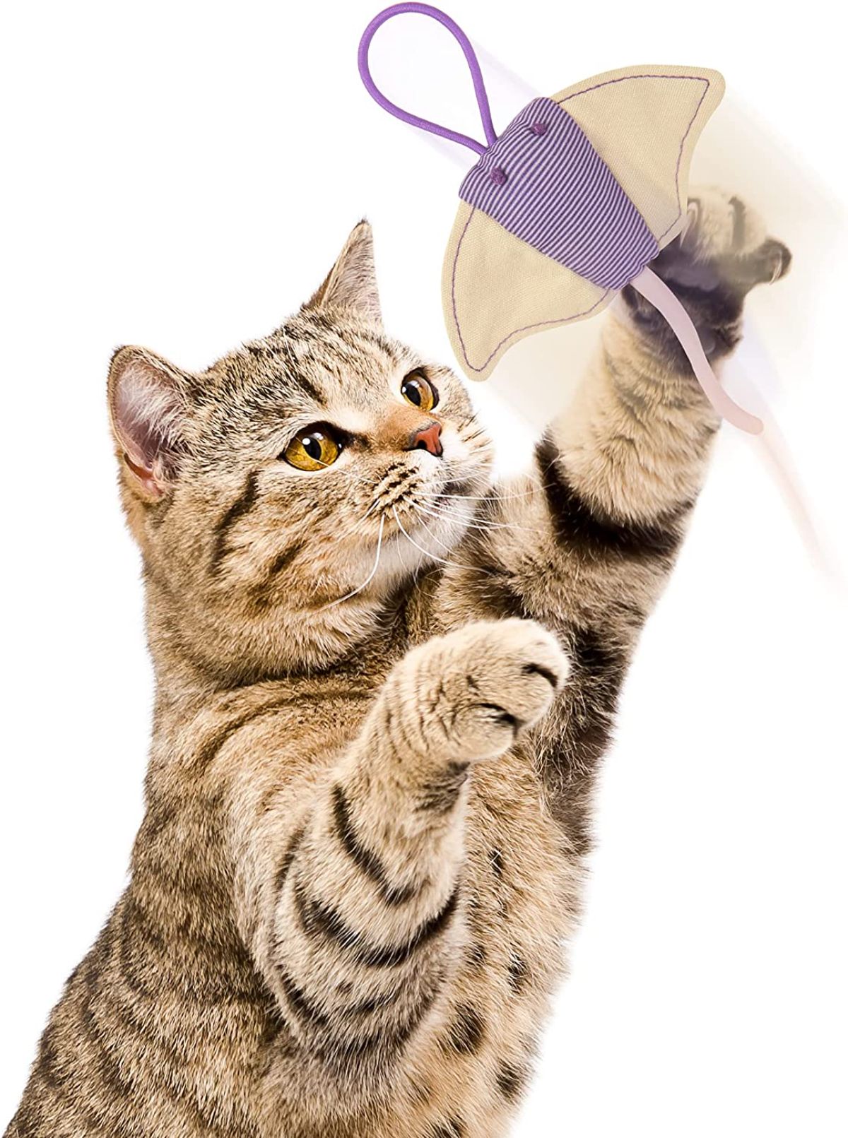 Petlinks Stingray Catnip Launcher