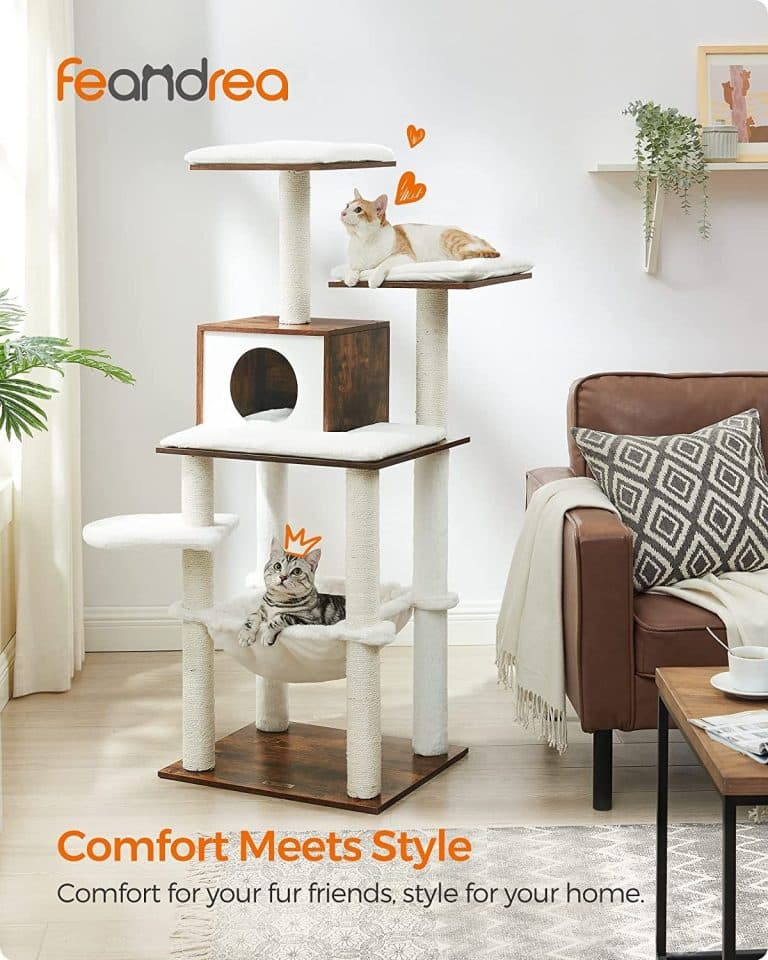 13 Best Cat Trees For Maine Coons in 2022 (Cat Tested!)