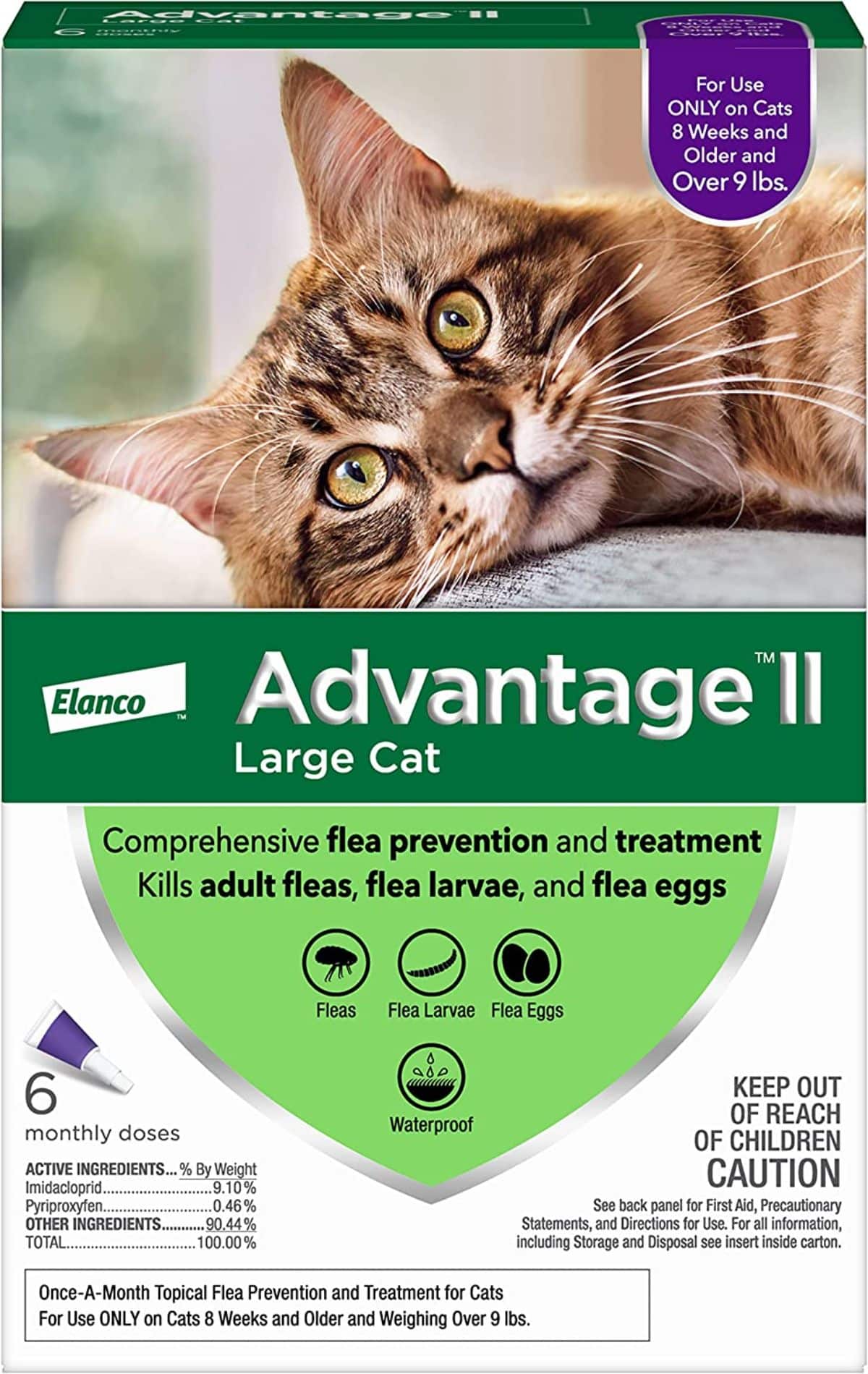 Advantage II fleat cat treatment.