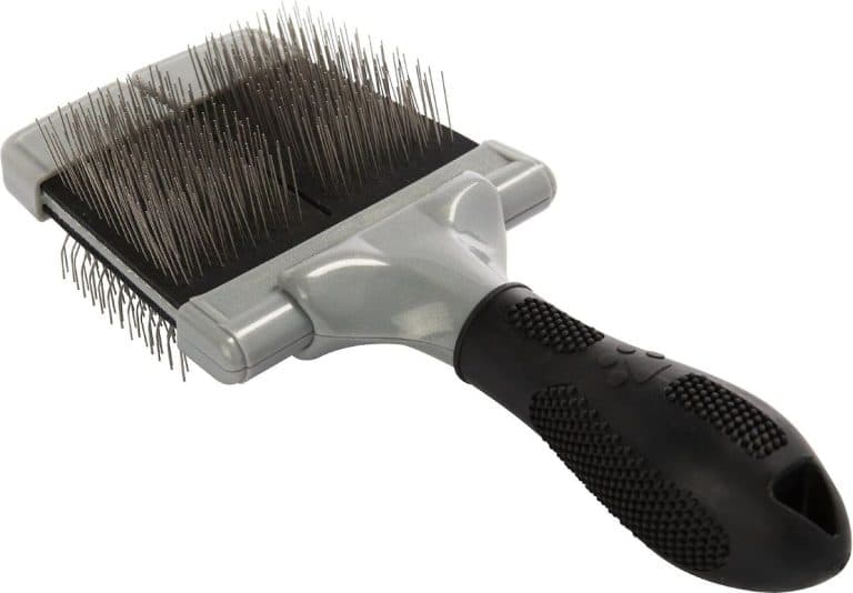13 Best Brushes for Maine Coon Cats (Cat Tested)