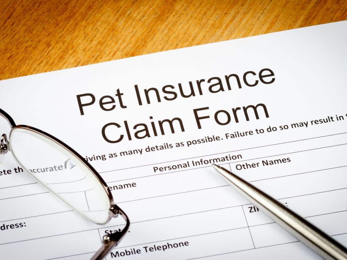 Pet insurance form on a table with glasses and a pen.