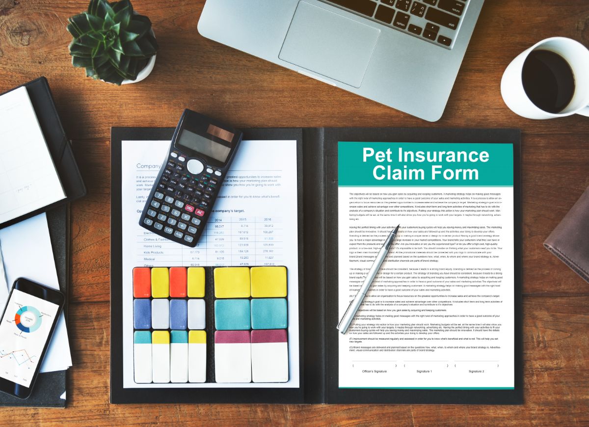 A pet insurance form on a office table.
