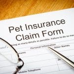 A pet insurance form on a table with glasses and a pen.