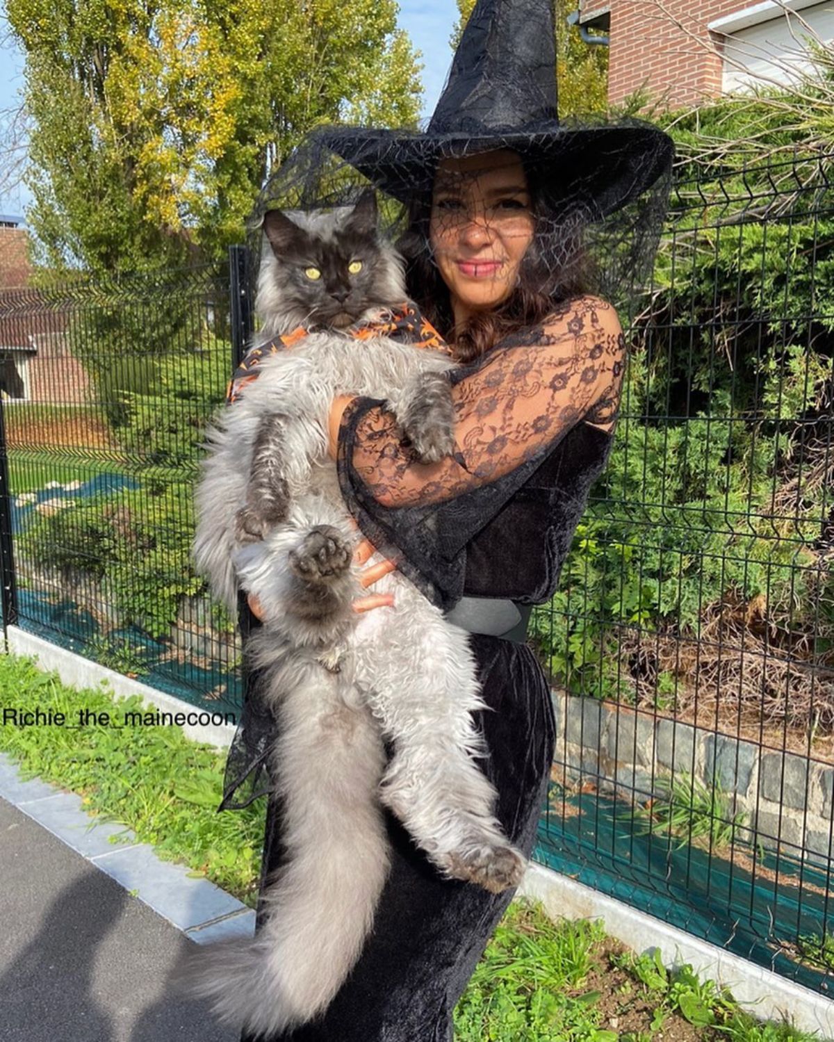 A young woman in a costume holding a gray maine coon.