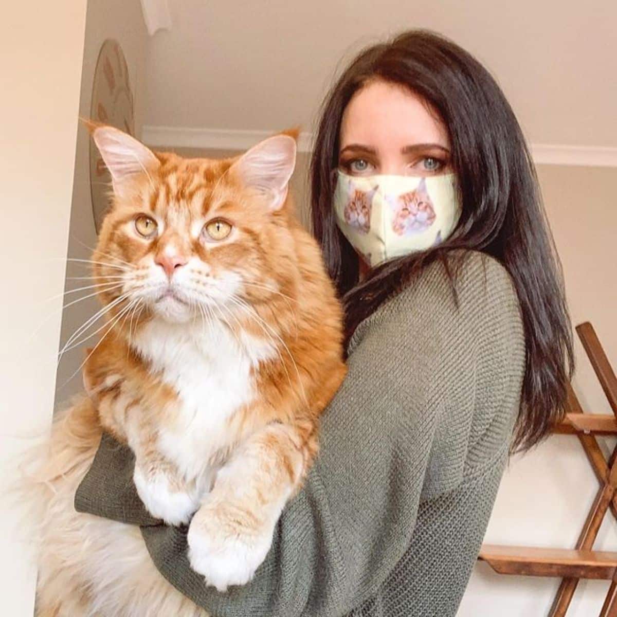 A young woman with a mask holding a huge ginger maine coon.