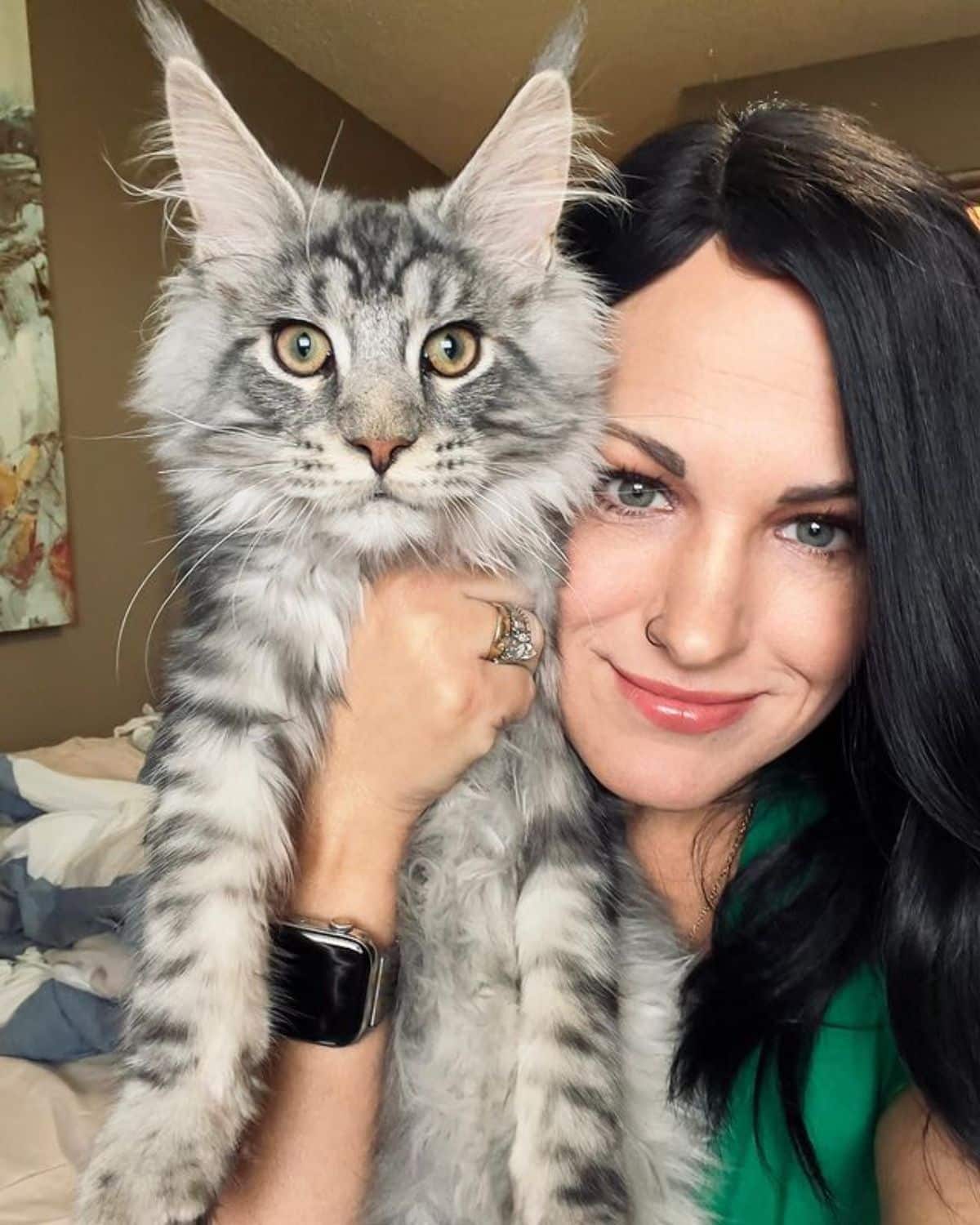 A young woman holding a fluffy gray maine coon.