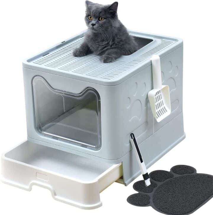 13 Best Litter Boxes For Maine Coons (cat Tested!) - Mainecoon.org