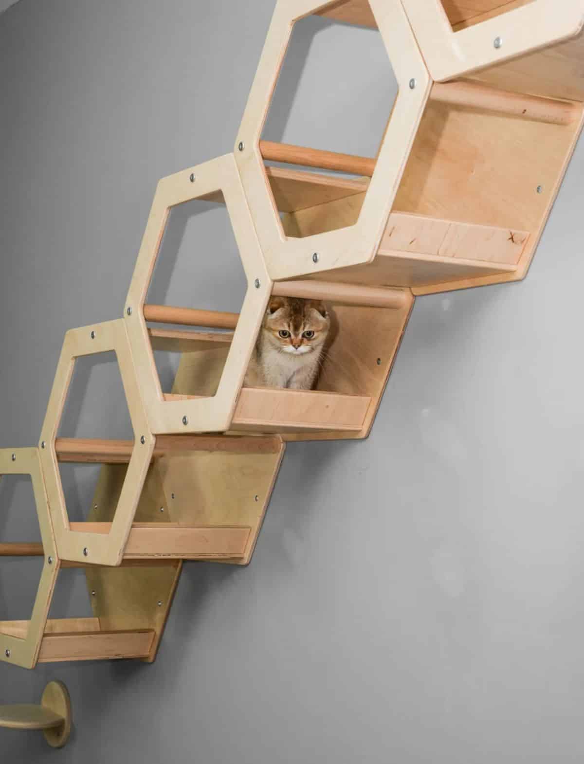 Hexagonal Cat Condo