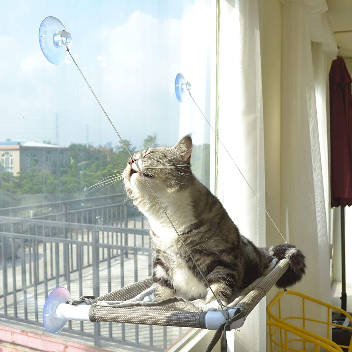 PEFUNY Cat Bed Window Perch