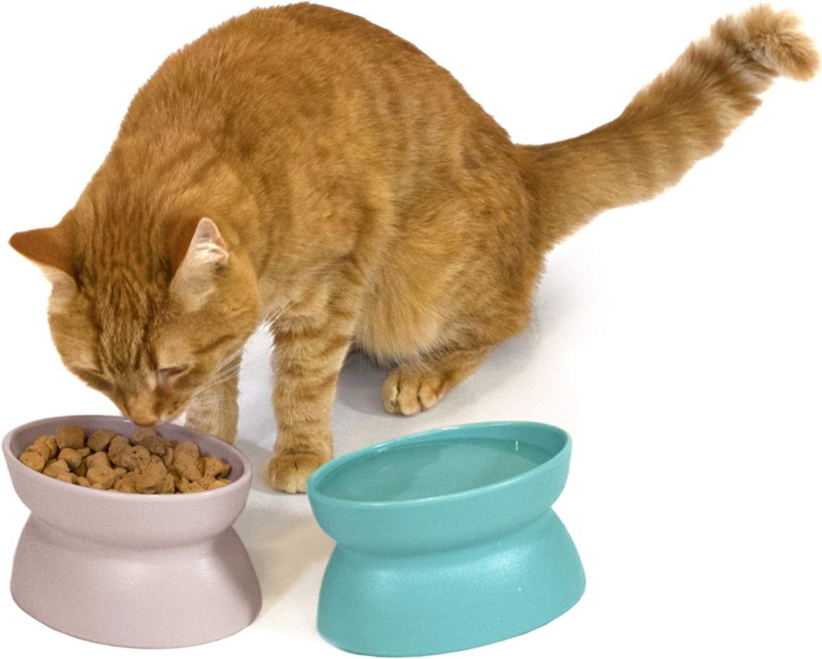 Kitty City Raised Cat Food Bowls