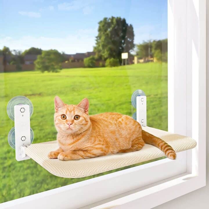 11 Cat Window Perches Your Cat Will Love
