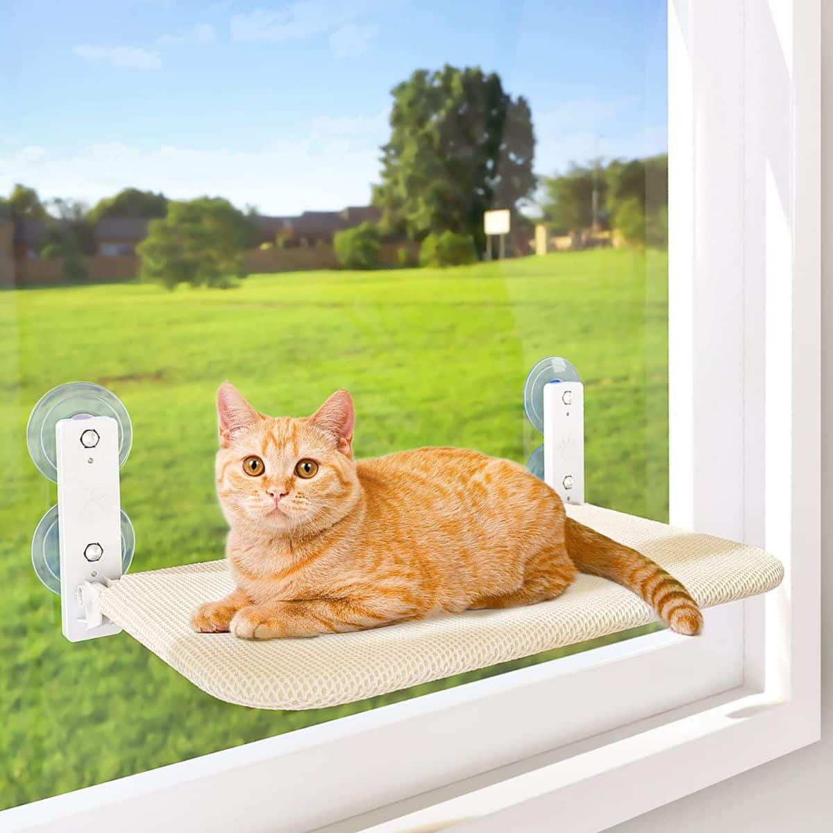 AMOSIJOY Cordless Cat Window Perch