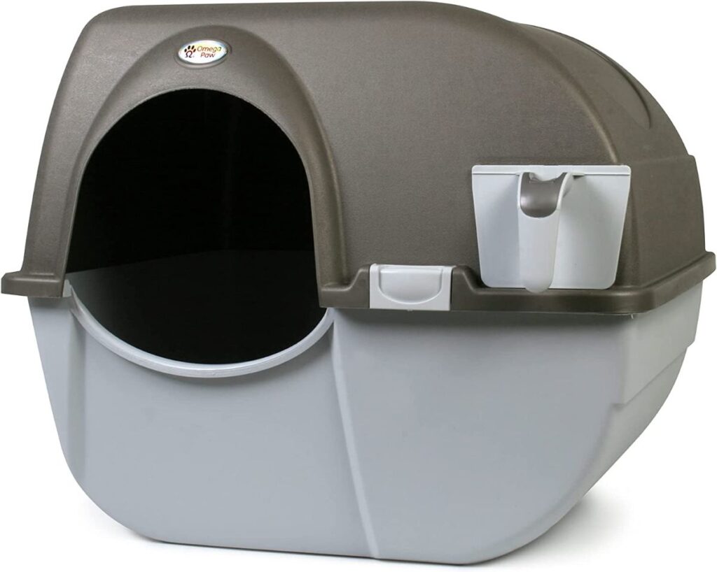 13 Best Litter Boxes for Maine Coons (Cat Tested!)