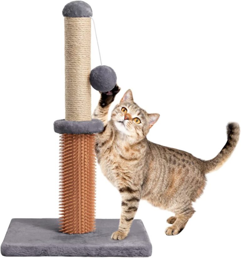 11 Best Maine Coon Scratching Posts