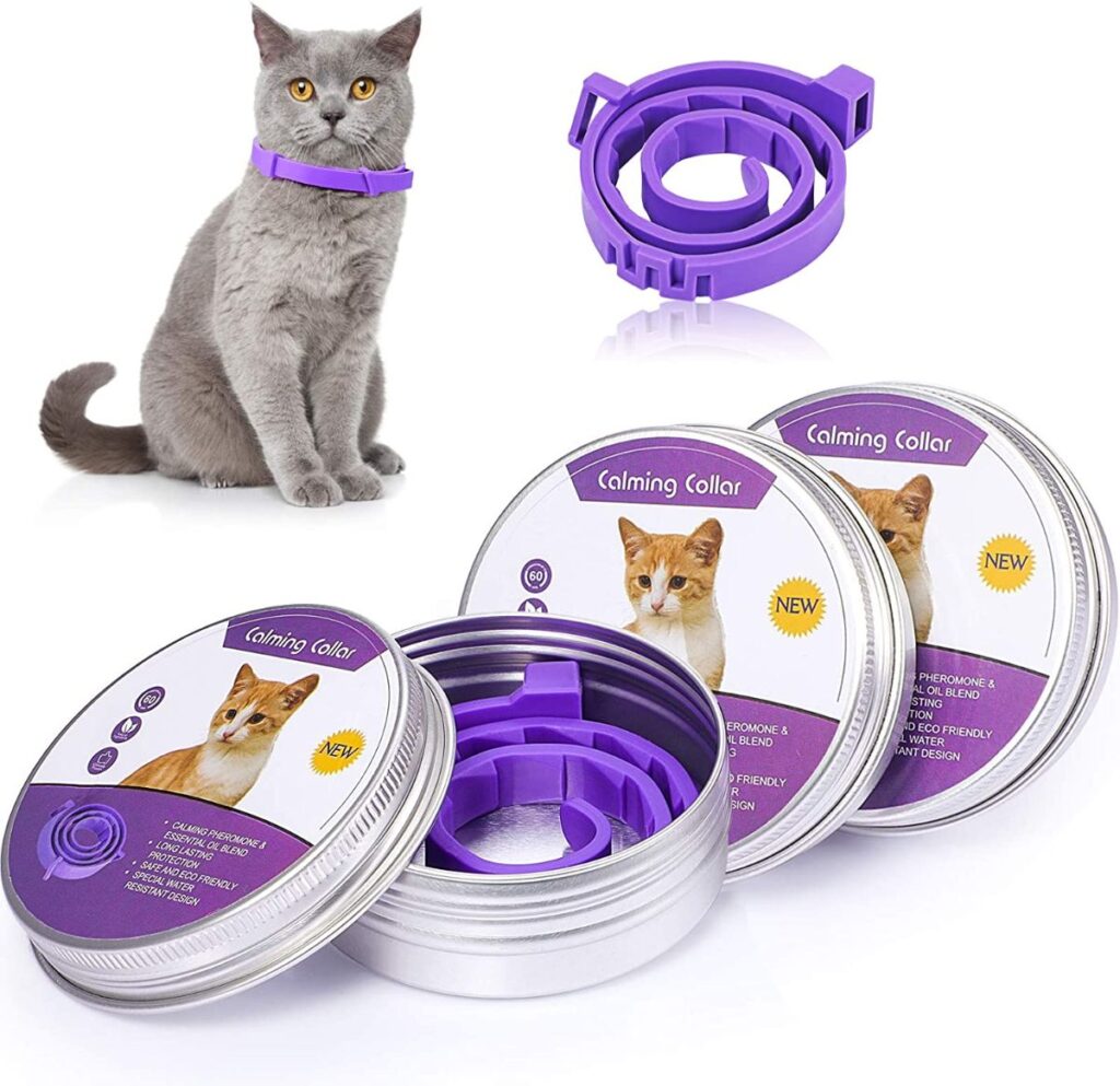 The 11 Best Collars to Calm Stressed Cats