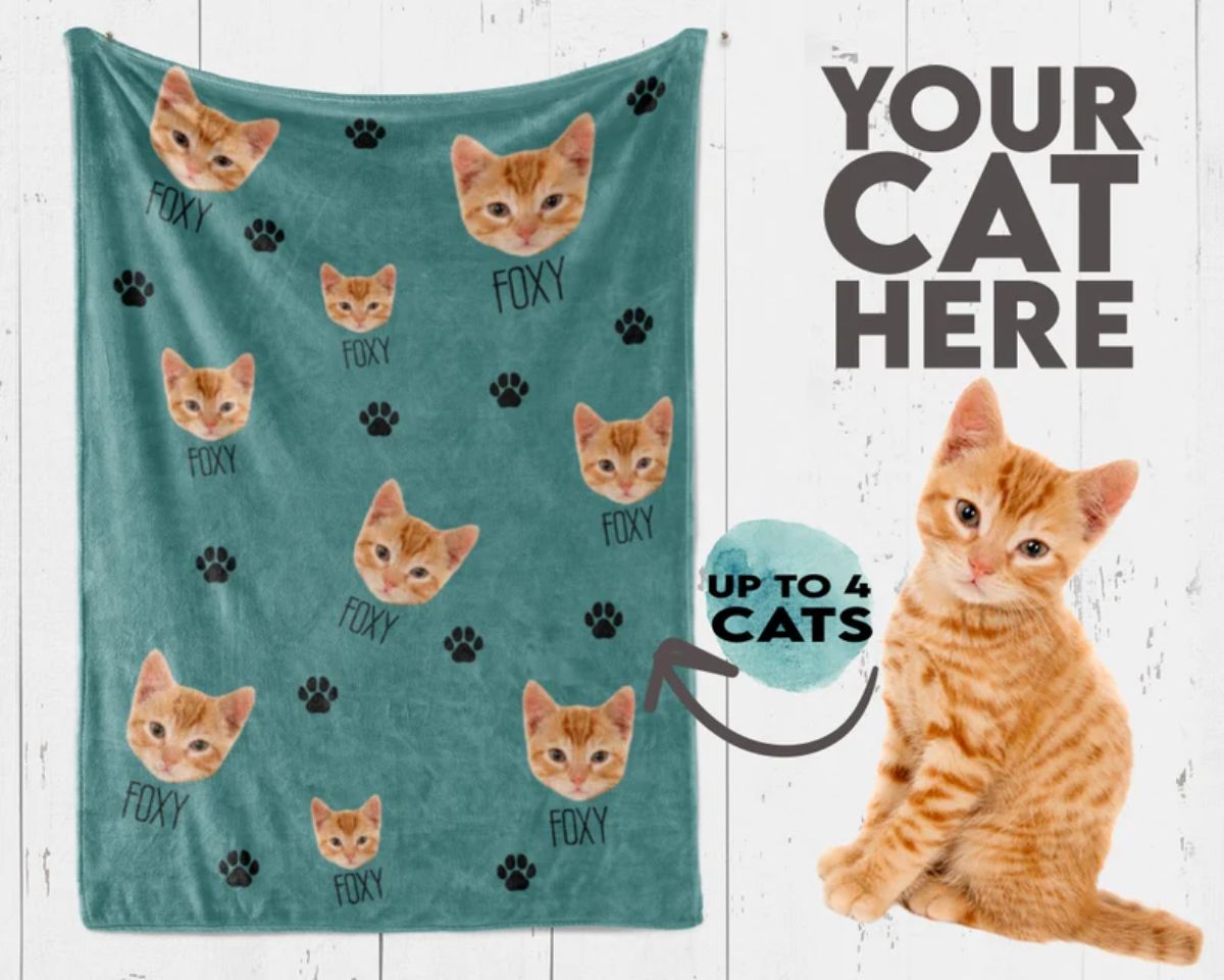 SoxyStudio Personalized Cat Blanket